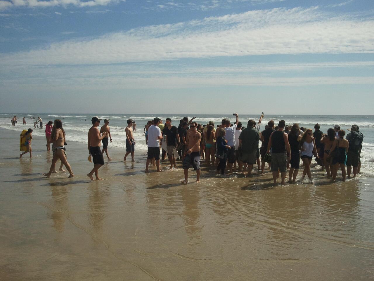 Southern California, Spirit Linx tribe culture, movement, tribe